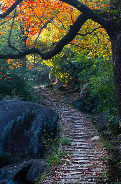 红枫古道秋色浓