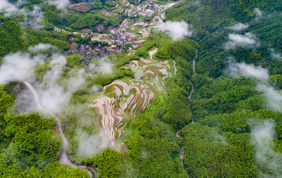 纸山门户醉美大岙