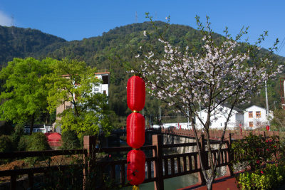 肇山春色