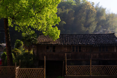 肇山春色