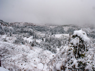 纸山梯田雪景