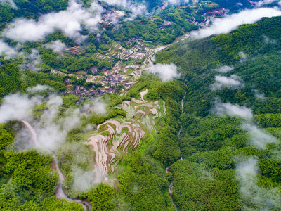 醉美大岙梯田