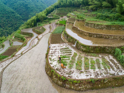 山村农忙