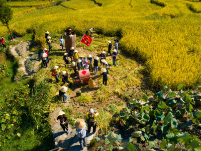 上潘垄丰收节