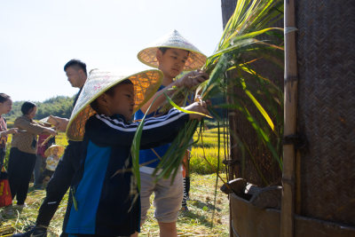 上潘垄丰收节