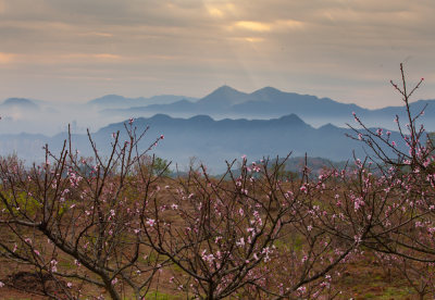 山村春意