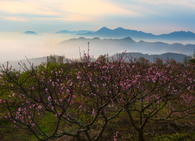 山村春色好