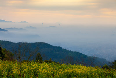 山村春色好