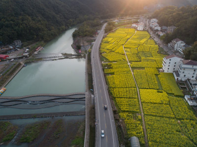 龙溪春色