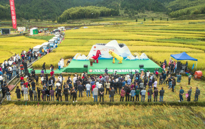 瓯海农民丰收节纪实（泽雅）