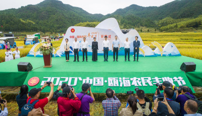 2020中国瓯海农民丰收节纪实