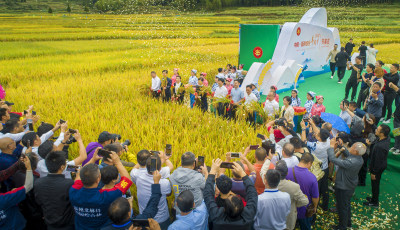 2020中国瓯海农民丰收节纪实