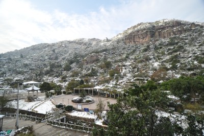 岩一公园雪景