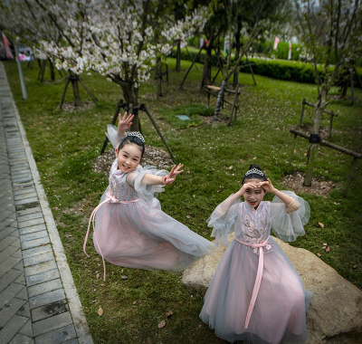 这幅作品拍于瓯江口樱花节