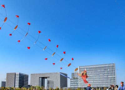 在瓯江口政府所在地举行，风筝龙空中飘扬