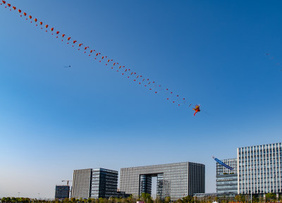 在瓯江口政府所在地举行，风筝龙空中飘扬
