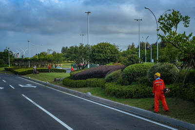 这组作品拍摄于，瓯江口主干道，道路两旁的绿化，园林工们在维护绿化带。