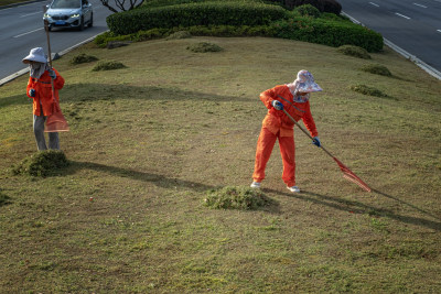 这组作品拍摄于，瓯江口主干道，道路两旁的绿化，园林工们在维护绿化带。