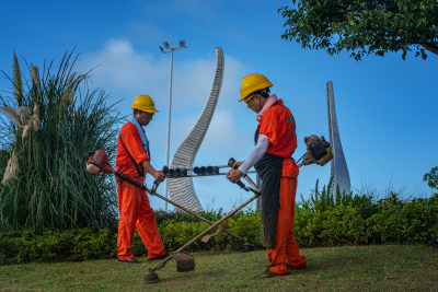 这组作品拍摄于，瓯江口主干道，道路两旁的绿化，园林工们在维护绿化带。