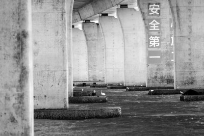 瓯江口大桥的桥下风景线之三