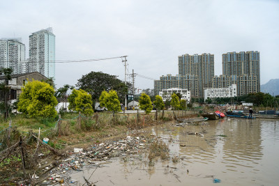原上陡门浦河垃圾满河