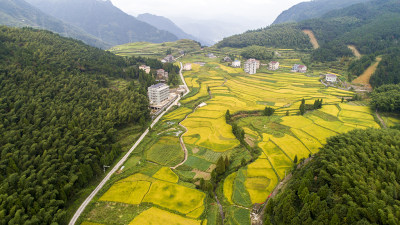 泽雅纸山梯田组照之二摄于五凤垟