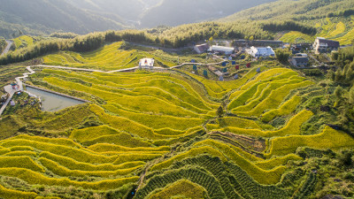 泽雅纸山梯田组照之八摄于屿山