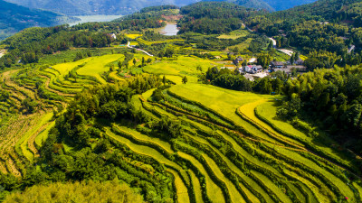 美丽泽雅梯田