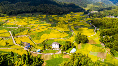 美丽泽雅梯田