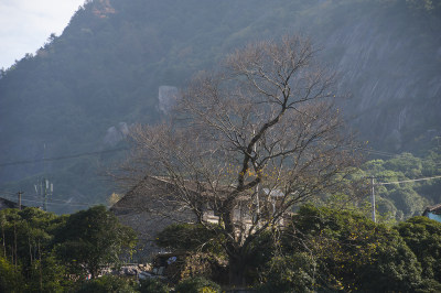 茶山石头村记