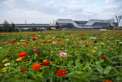 新区在崛起