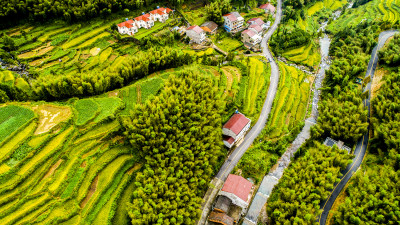 美丽泽雅梯田