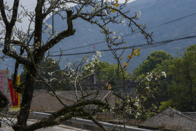 派岩小景1