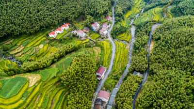 泽雅坑源