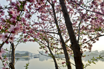 春色满河3