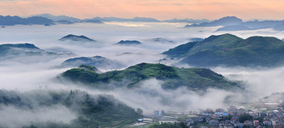 2013年6月18日摄于永嘉茗岙