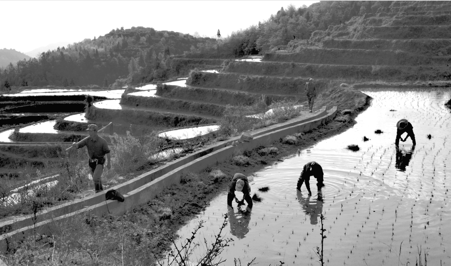 永嘉茗岙风光《山光水色共徘徊》组照6张