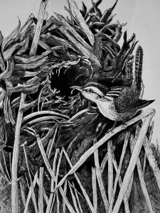 《张亚冬钢笔画展剪影》组照17张