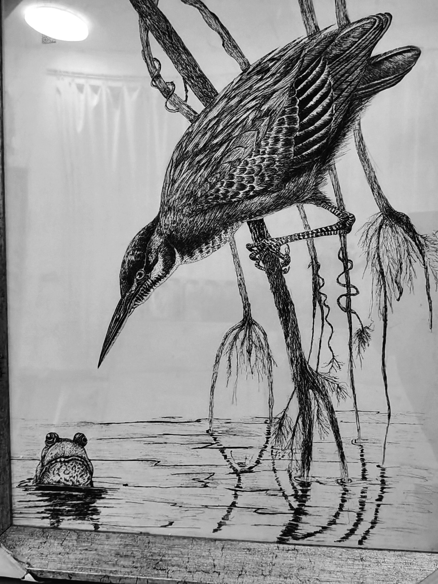 《张亚冬钢笔画展剪影》组照17张