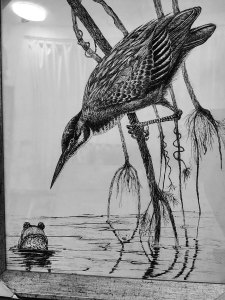 《张亚冬钢笔画展剪影》组照17张