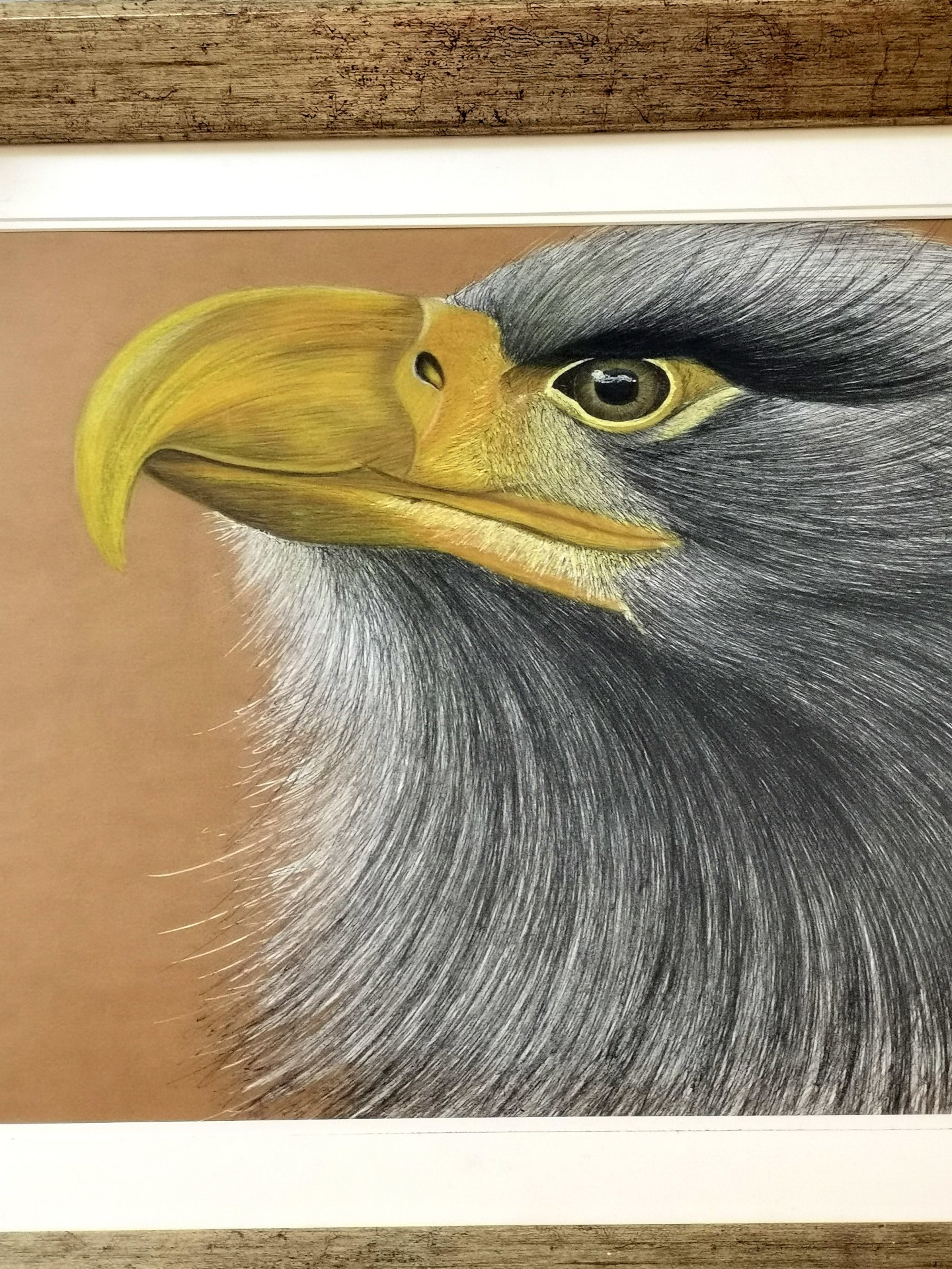 《张亚冬钢笔画展剪影》组照17张