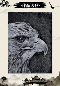 《张亚冬钢笔画展剪影》组照17张