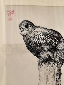《张亚冬钢笔画展剪影》组照17张