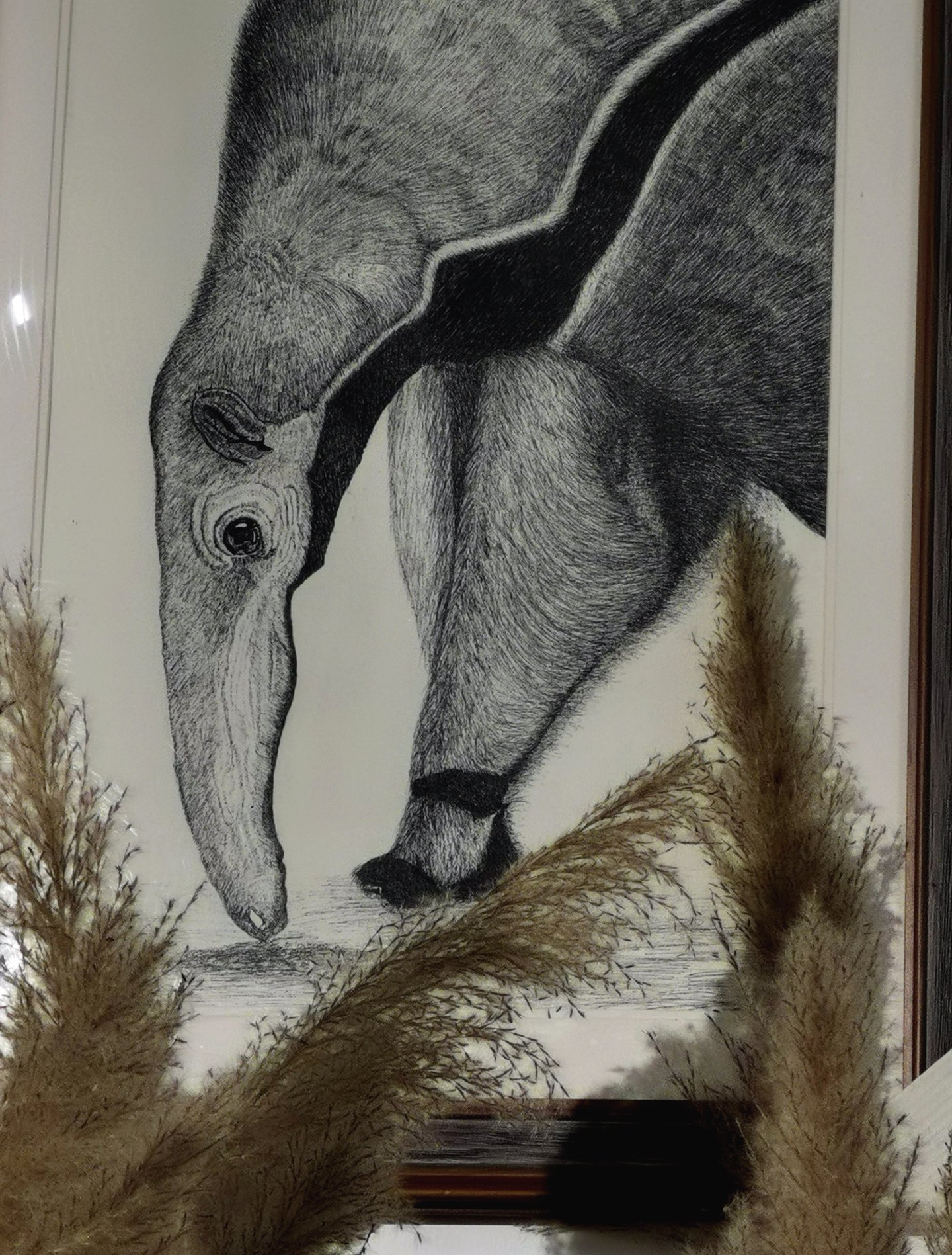 《张亚冬钢笔画展剪影》组照17张