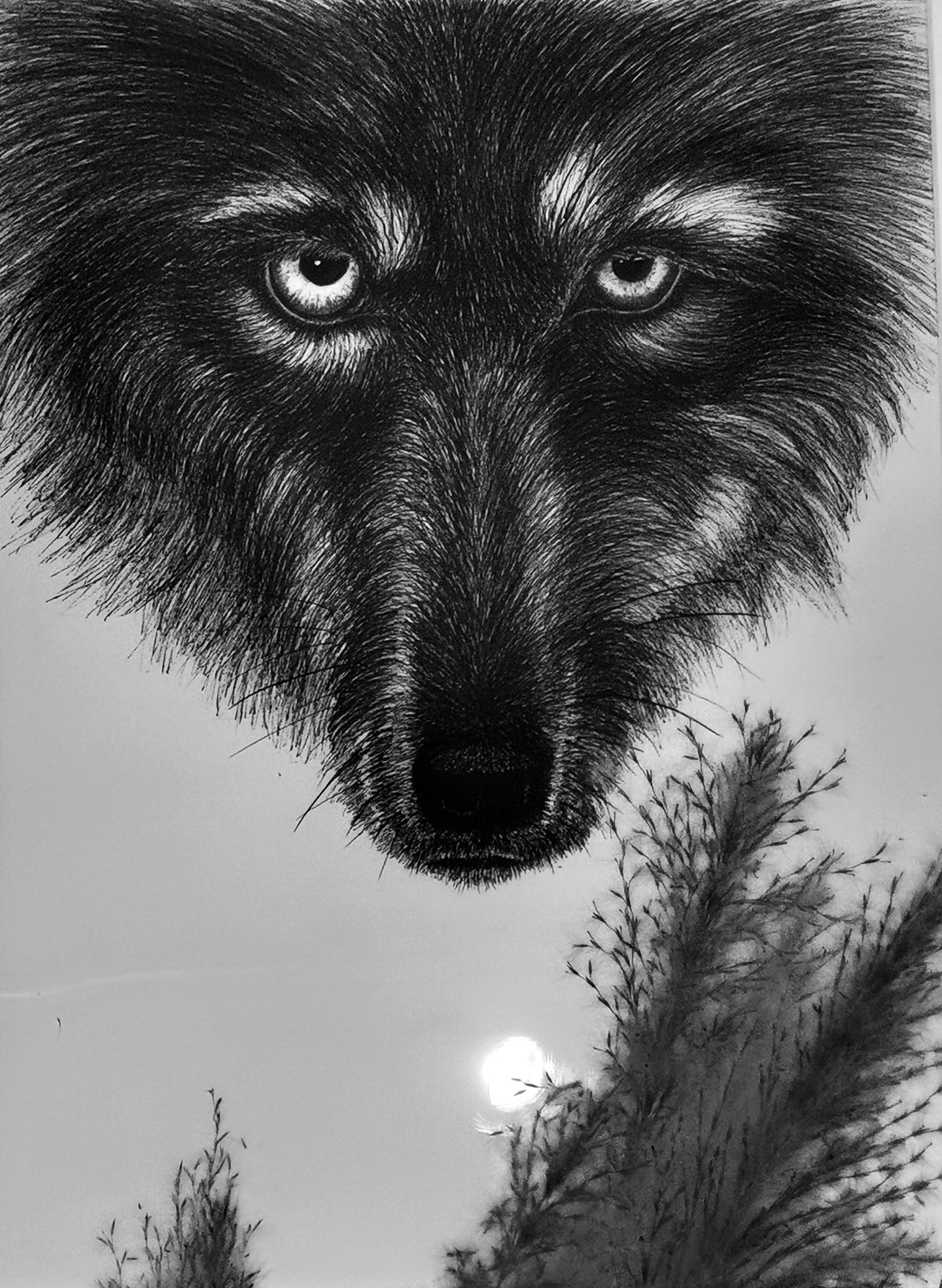 《张亚冬钢笔画展剪影》组照17张