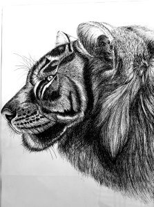 《张亚冬钢笔画展剪影》组照17张