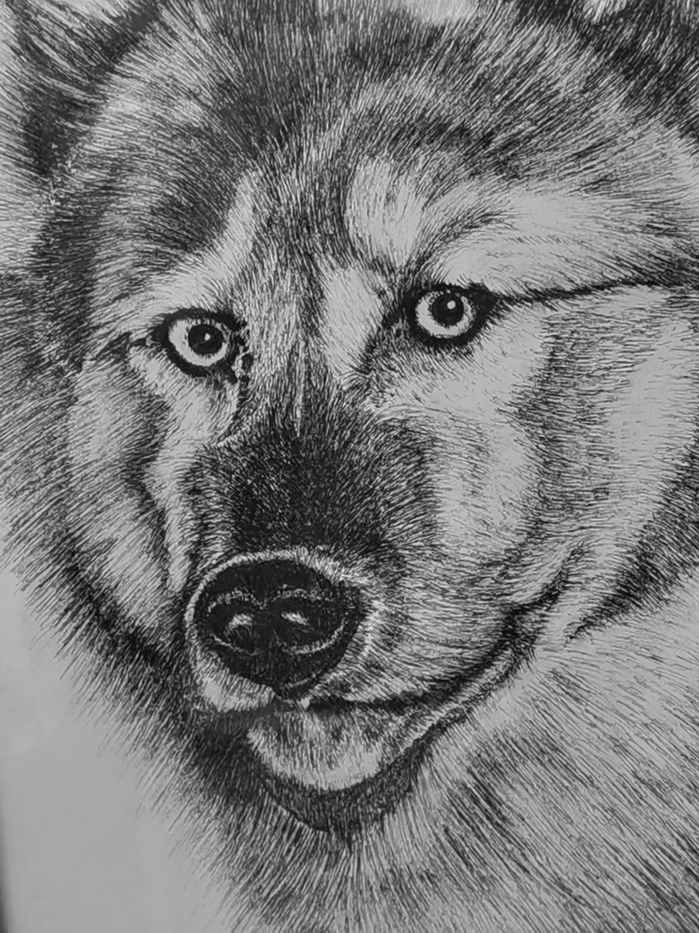 《张亚冬钢笔画展剪影》组照17张