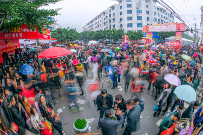 瞿溪会市－美食节