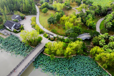 南湖公园新貌（组）３