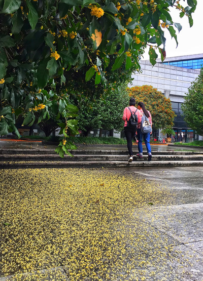 花园大学城组图九